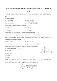 2025-2026学年上海市浦东新区民办欣竹中学八年级（上）期末数学试卷-自定义类型