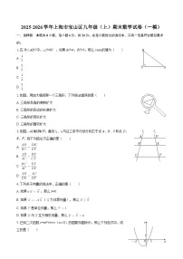 2025-2026学年上海市宝山区九年级（上）期末数学试卷（一模）-自定义类型