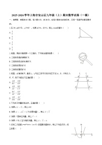 2025-2026学年上海市宝山区九年级(上)期末数学试卷(一模)-自定义类型