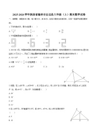 2025-2026学年陕西省榆林市定边县八年级（上）期末数学试卷-自定义类型