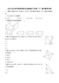 2025-2026学年陕西省西安市新城区九年级（上）期末数学试卷-自定义类型