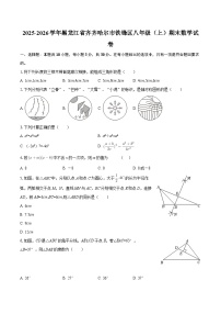 2025-2026学年黑龙江省齐齐哈尔市铁锋区八年级（上）期末数学试卷-自定义类型