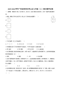 2025-2026学年广东省深圳市坪山区九年级（上）期末数学试卷-自定义类型