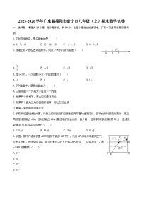 2025-2026学年广东省揭阳市普宁市八年级(上)期末数学试卷-自定义类型