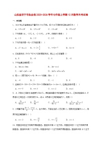2025-2026学年山东省济宁市鱼台县七年级上册12月数学月考试卷 [附答案]