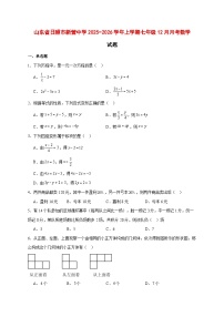 2025-2026学年山东省日照市新营中学上册七年级12月月考数学试卷 [附答案]