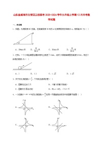 2025-2026学年山东省威海市文登区三校联考九年级上册12月月考数学试卷 [附答案]
