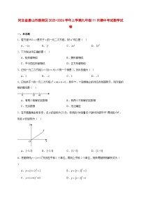 2025-2026学年河北省唐山市路南区上册九年级11月期中考试数学试卷 [附答案]