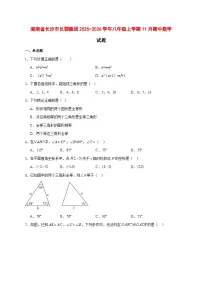 2025-2026学年湖南省长沙市长郡集团八年级上册11月期中数学试卷 [附答案]