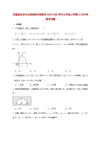 2025-2026学年安徽省安庆市太湖县部分校联考九年级上册12月月考数学试卷 [附答案]