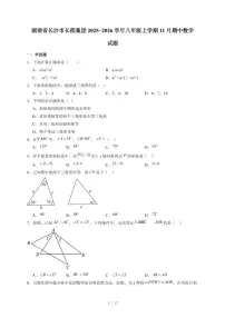 湖南省长沙市长郡集团2025-2026学年八年级上册11月期中数学试卷（含答案）