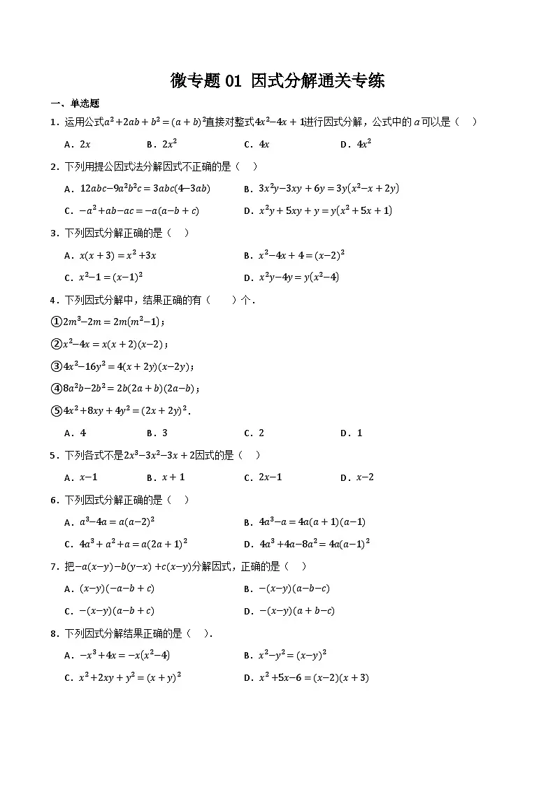 微专题01 因式分解通关专练(原卷版)第1页