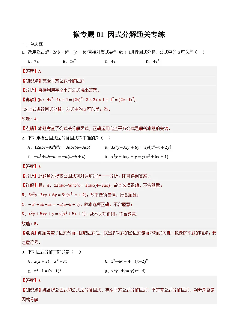 微专题01 因式分解通关专练(解析版) 第1页