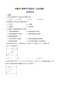 专题09 特殊平行四边形(分层训练)-2026年中考数学总复习重难考点强化训练(全国通用)(原卷版+解析版)
