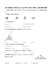四川省绵阳市平武县2025-2026学年八年级上学期1月期末数学试题-自定义类型