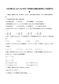 上海市静安区2025-2026学年上学期期末课程实施调研九年级数学试卷-自定义类型