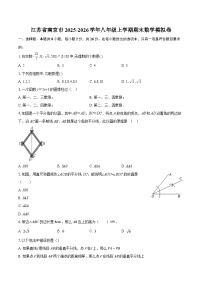 江苏省南京市2025-2026学年八年级上学期期末数学模拟卷-自定义类型
