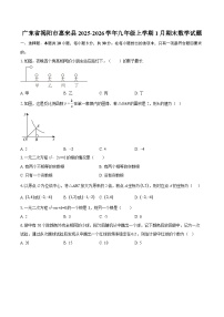 广东省揭阳市惠来县2025-2026学年九年级上学期1月期末数学试题-自定义类型