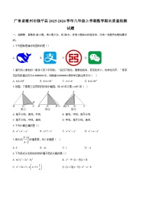 广东省潮州市饶平县2025-2026学年八年级上学期数学期末质量检测试题-自定义类型