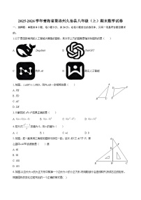 2025-2026学年青海省果洛州久治县八年级（上）期末数学试卷-自定义类型