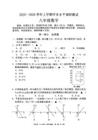 2025-2026学年深圳市光明区八年级上学期期末数学试卷（不含答案）
