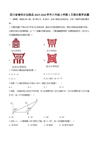 四川省南充市仪陇县2025-2026学年八年级上学期1月期末数学试题-自定义类型