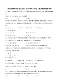 四川省南充市西充区2025-2026学年七年级上学期期末数学试卷-自定义类型