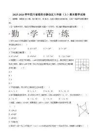 2025-2026学年四川省绵阳市游仙区八年级（上）期末数学试卷-自定义类型