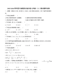 2025-2026学年四川省绵阳市盐亭县七年级（上）期末数学试卷-自定义类型