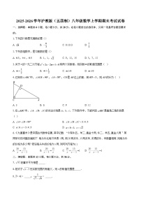 2025-2026学年沪教版（五四制）八年级数学上学期期末考试试卷-自定义类型