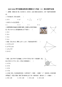 2025-2026学年湖南省株洲市醴陵市八年级（上）期末数学试卷-自定义类型
