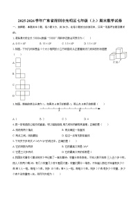 2025-2026学年广东省深圳市光明区七年级（上）期末数学试卷-自定义类型