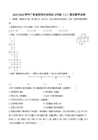 2025-2026学年广东省深圳市光明区七年级（上）期末数学试卷-自定义类型