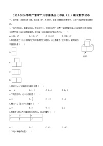 2025-2026学年广东省广州市番禺区七年级（上）期末数学试卷-自定义类型