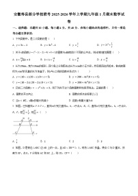 安徽省淮南市寿县部分学校 2025-2026学年九年级上学期1月期末数学试题（原卷版+解析版）