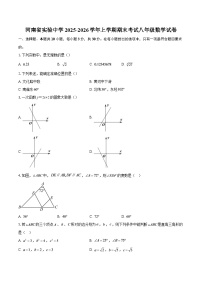 河南省实验中学2025-2026学年上学期期末考试八年级数学试卷-自定义类型