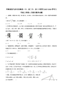河南省驻马店市汝南县一中，县二中，县三中联考2025-2026学年八年级上学期1月期末数学试题-自定义类型