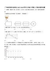 广东省深圳市盐田区2025-2026学年九年级上学期1月期末数学试题-自定义类型