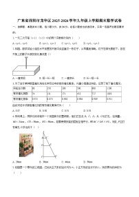 广东省深圳市龙华区2025-2026学年九年级上学期期末数学试卷-自定义类型