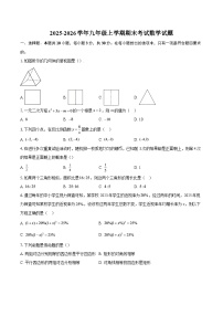 2025-2026学年九年级上学期期末考试数学试题-自定义类型