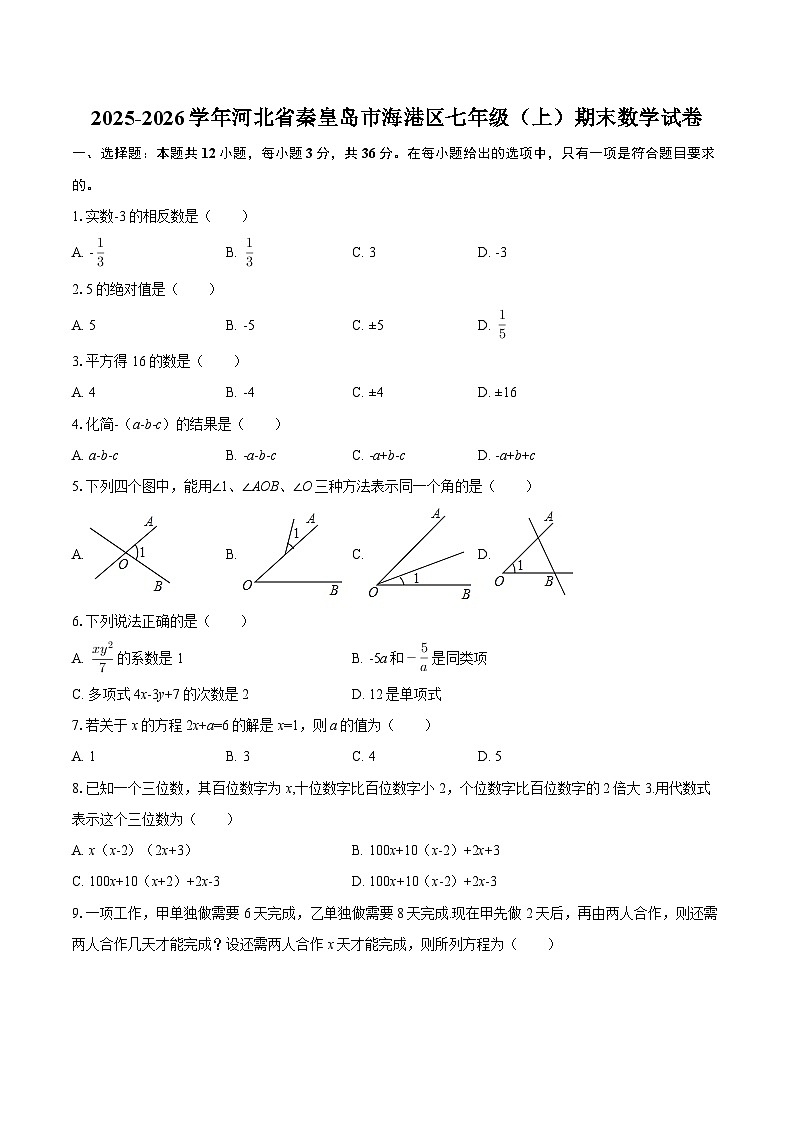 2025-2026学年河北省秦皇岛市海港区七年级(上)期末数学试卷-自定义类型第1页