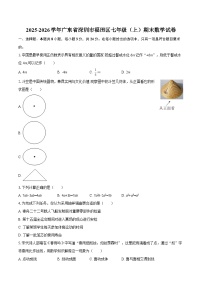 2025-2026学年广东省深圳市福田区七年级（上）期末数学试卷-自定义类型