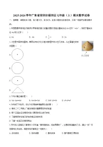 2025-2026学年广东省深圳市福田区七年级（上）期末数学试卷-自定义类型