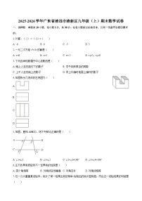 2025-2026学年广东省清远市清新区九年级（上）期末数学试卷-自定义类型