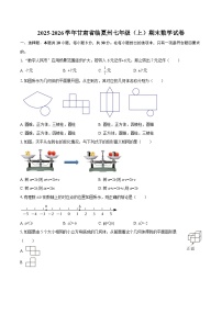 2025-2026学年甘肃省临夏州七年级（上）期末数学试卷-自定义类型