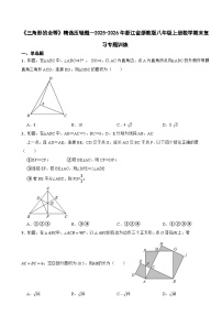 《三角形的全等》精选压轴题—2025-2026年浙江省浙教版八年级上册数学期末复习专题训练