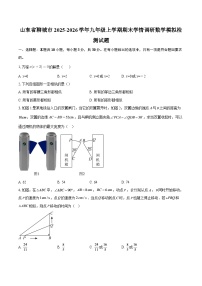 山东省聊城市2025-2026学年九年级上学期期末学情调研数学模拟检测试题-自定义类型