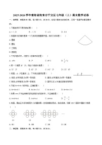 2025-2026学年青海省海东市平安区七年级（上）期末数学试卷-自定义类型