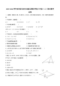 2025-2026学年吉林省长春市高新区慧谷学校八年级（上）期末数学试卷-自定义类型