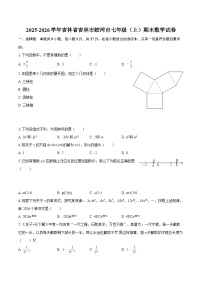 2025-2026学年吉林省吉林市蛟河市七年级（上）期末数学试卷-自定义类型